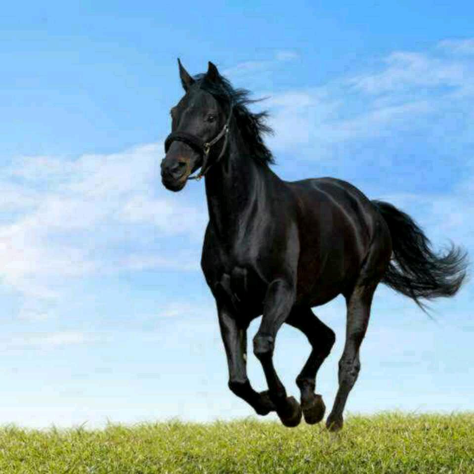 遇见未知的自己