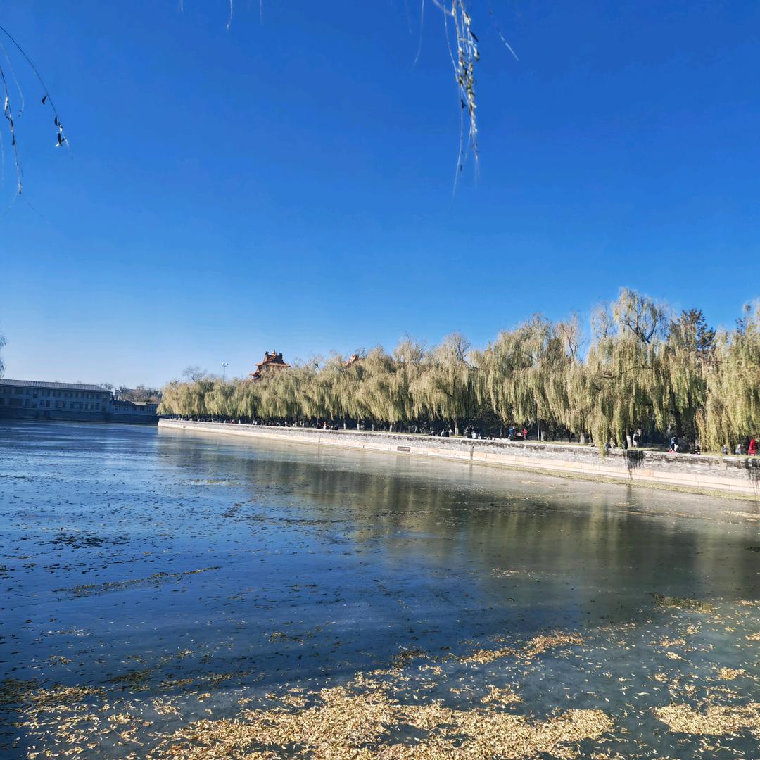 啄木鸟内衣星凡欧专卖店