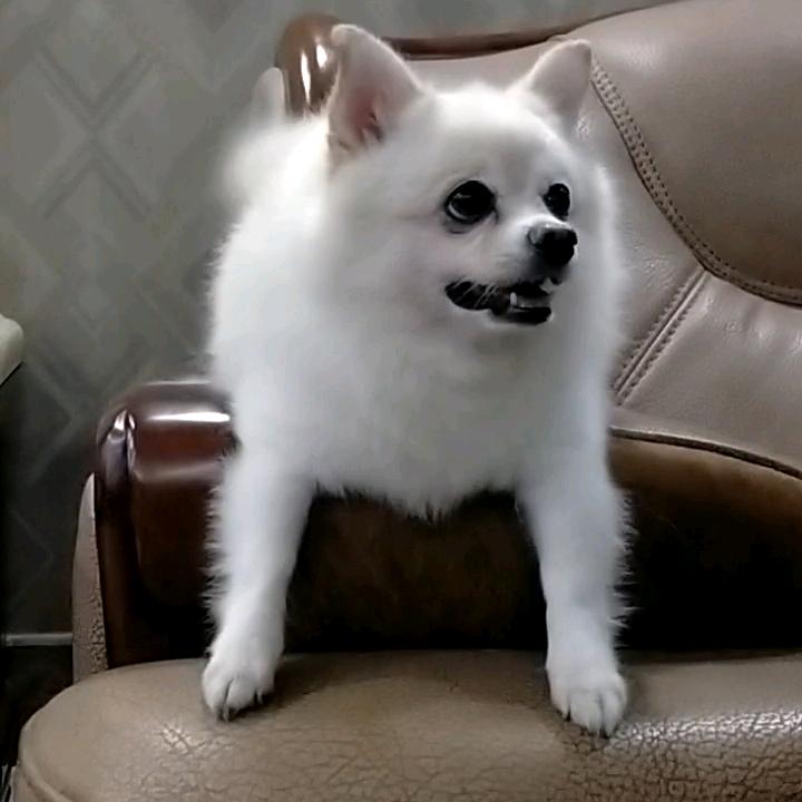 贵州玲子