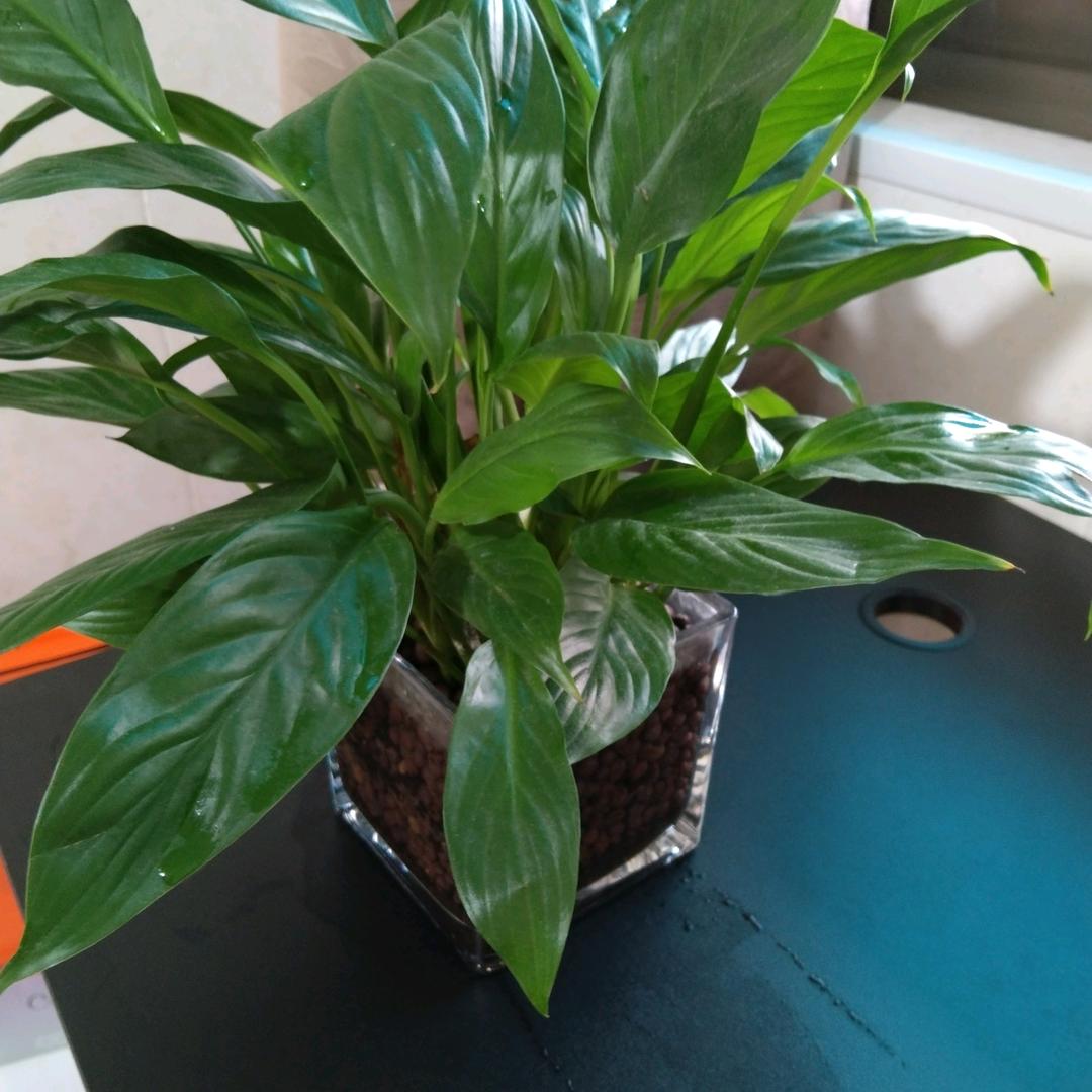 我家有个小可爱