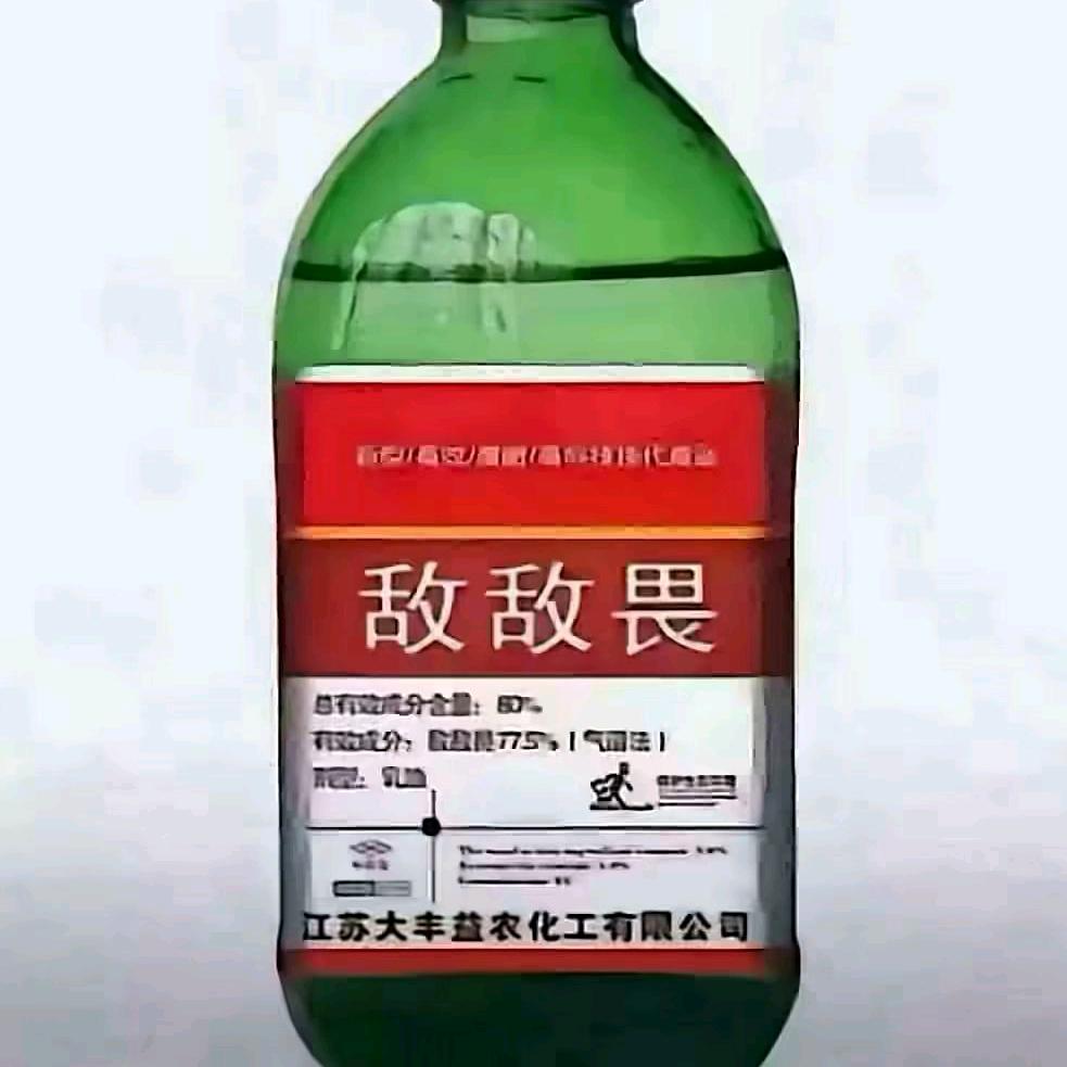 敌敌畏奶茶🧋