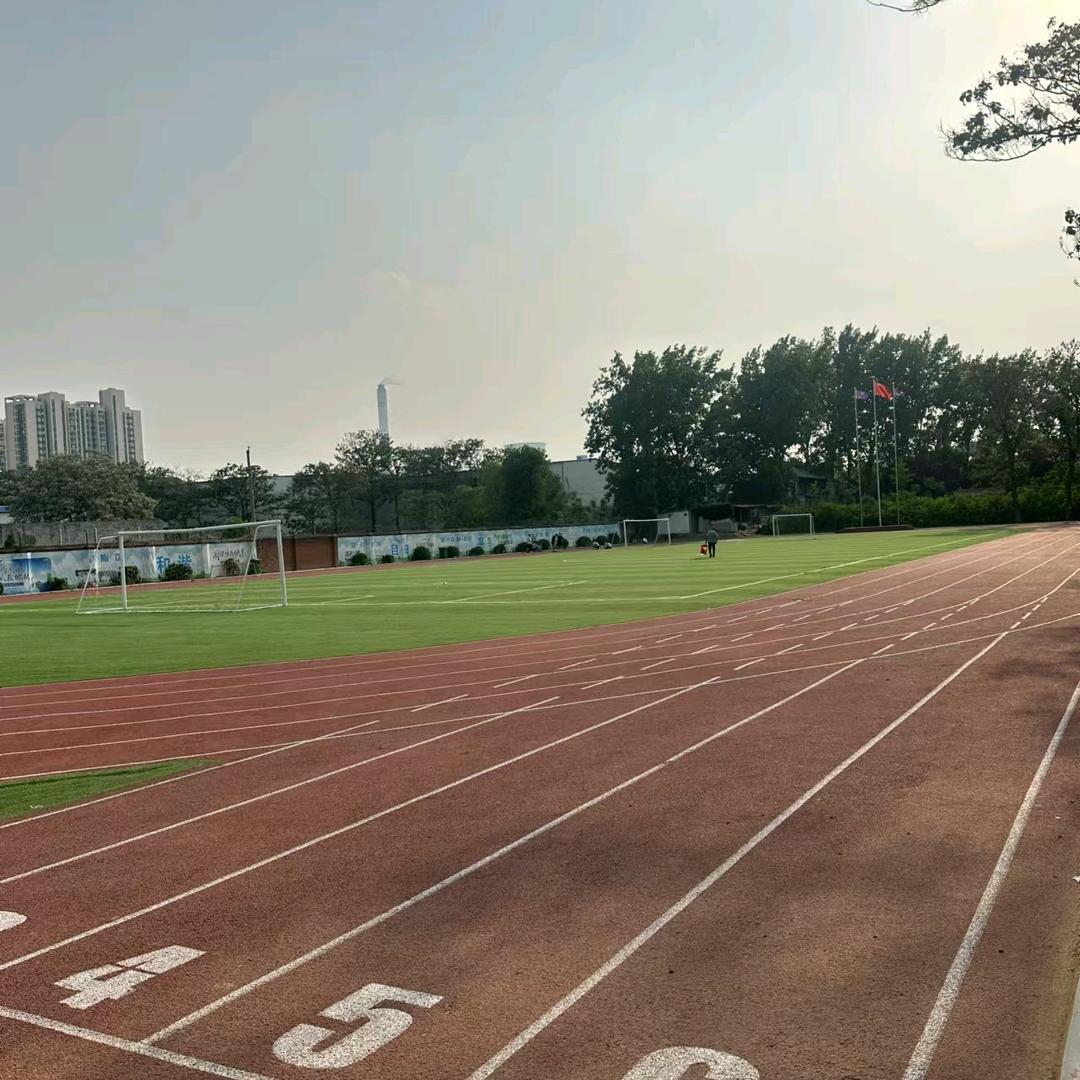 升学规划程老师