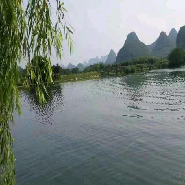 鹏程万里