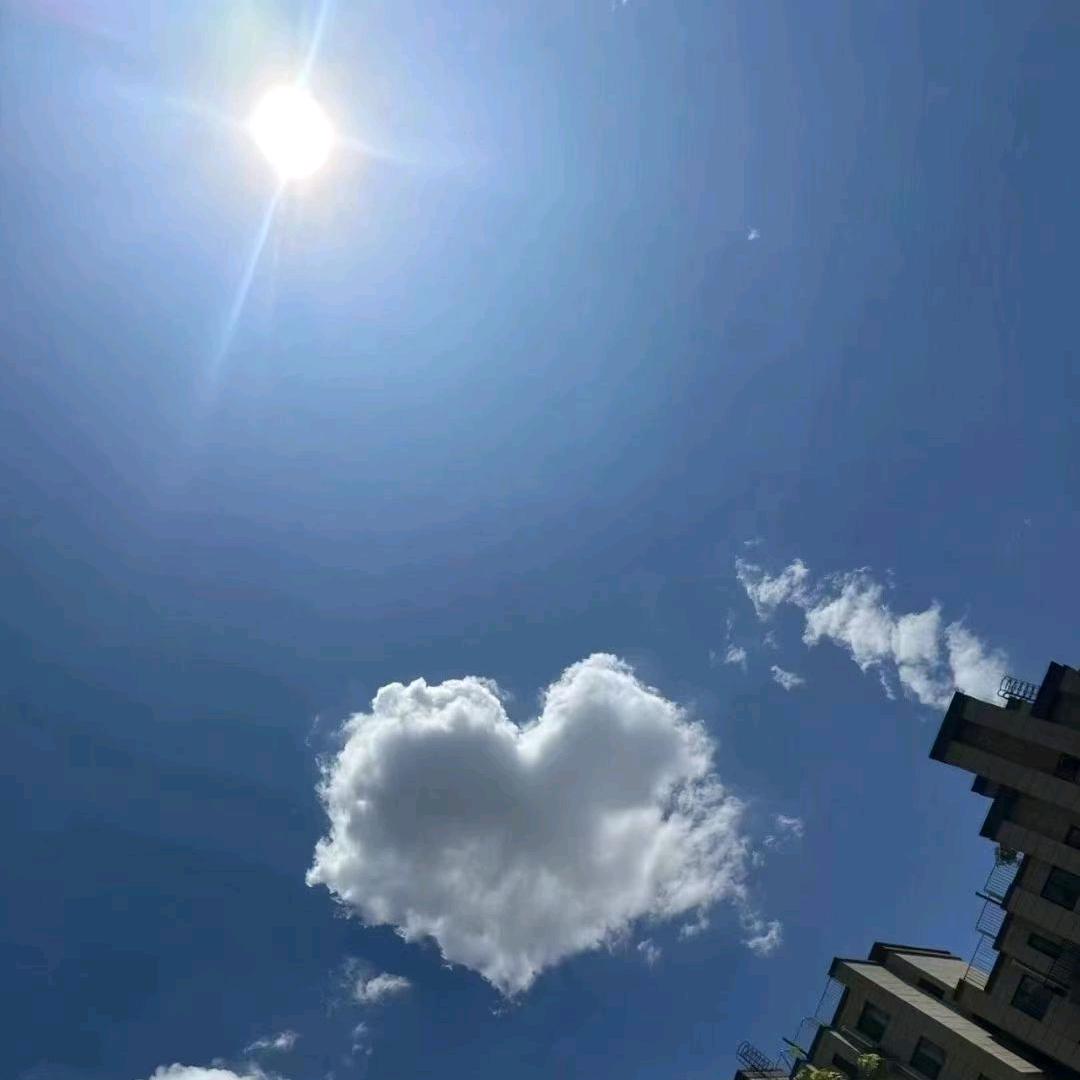 💙    五颜六色的希望