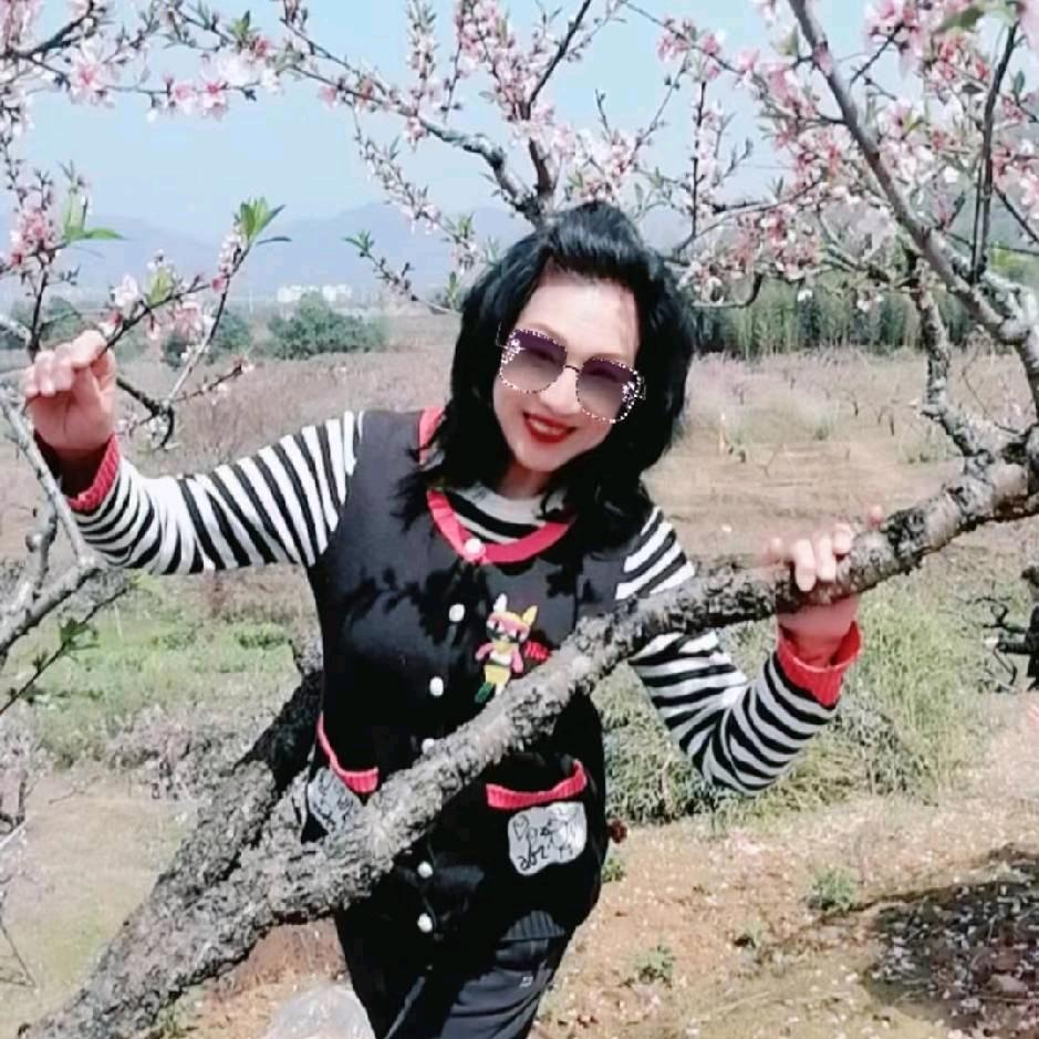 君子兰