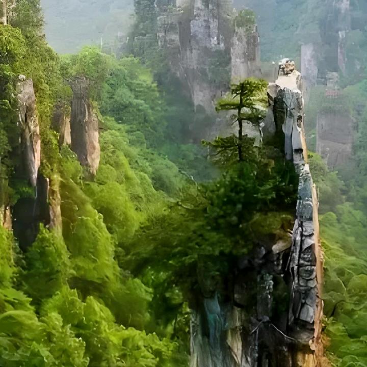 神