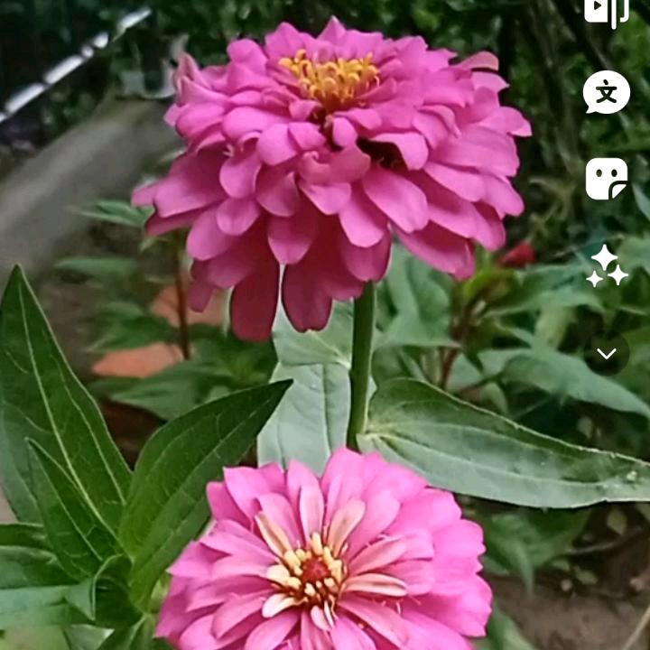 美好的一 家