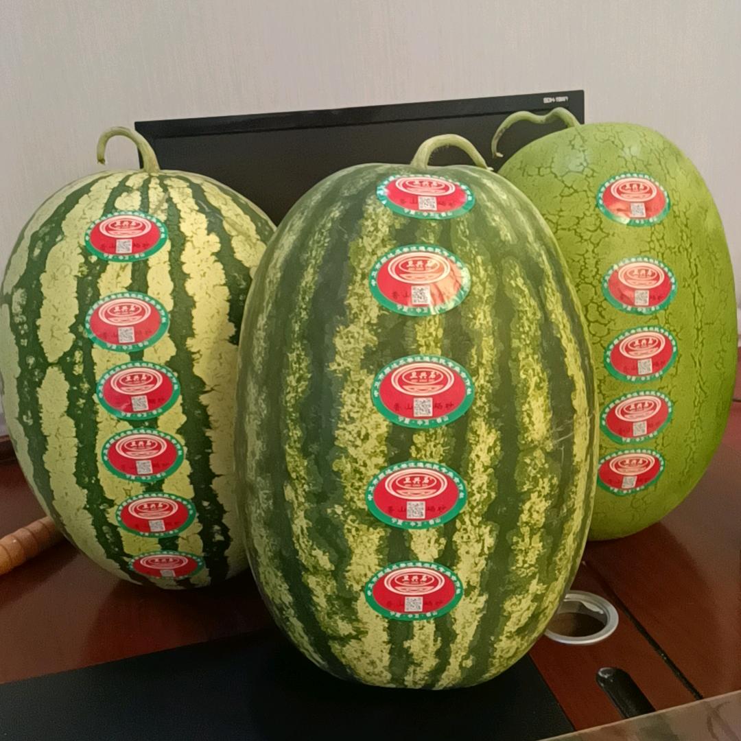 哈喽