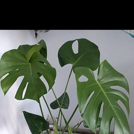 😄三生有幸遇见你，終是悲凉也是情😄