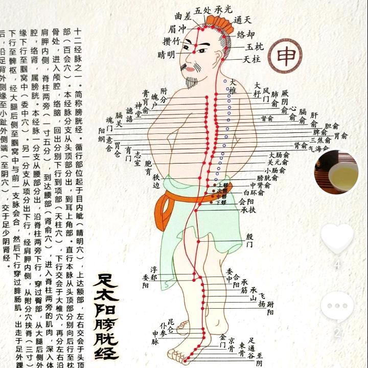 中华茶人