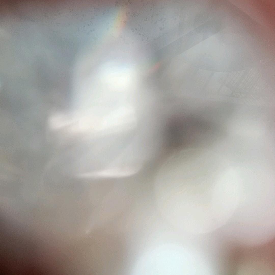 @(♧◑ω◑)☞♡☜(◐ω◐♧)