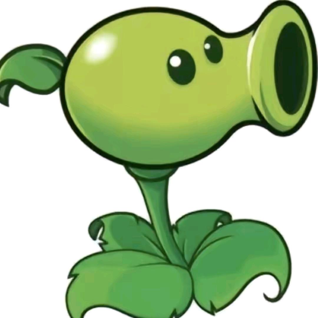 🟢🟢🟢🟢🟢🟢