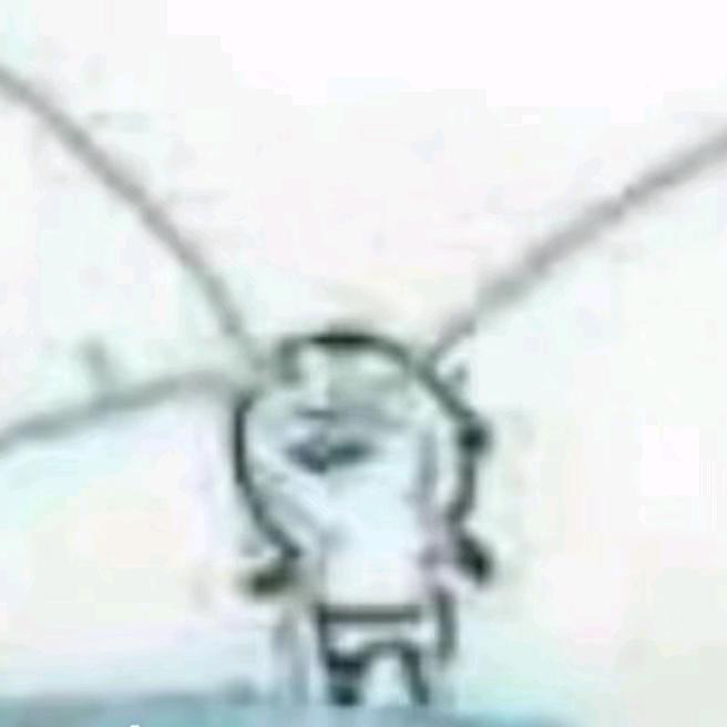 名字难取