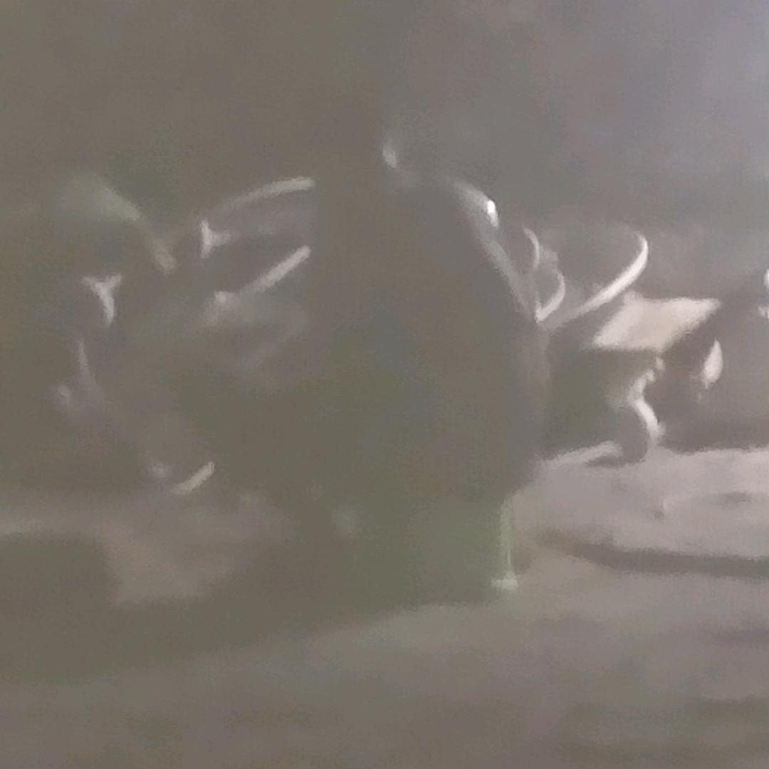 欧派加缪好吧