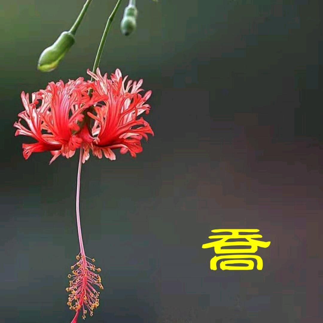 帅哥他爹