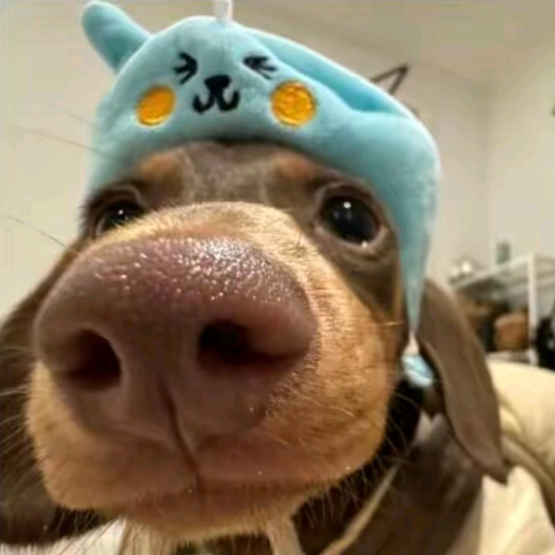 南波吐