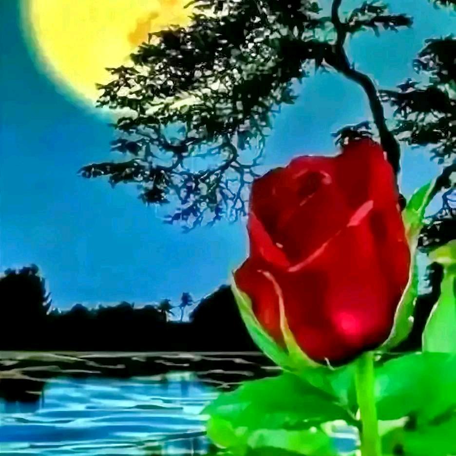 🌲💐董哥🌲💐