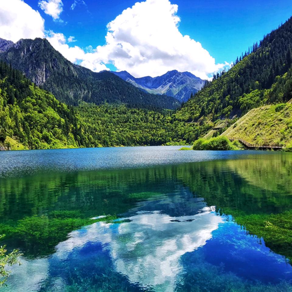 制衣圈～（戴）