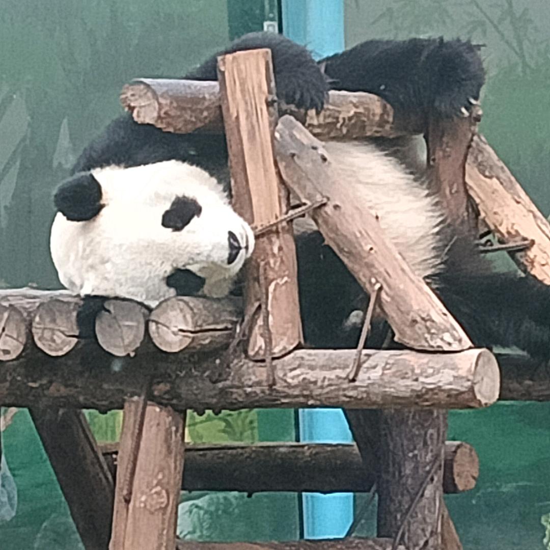 江枫夜泊