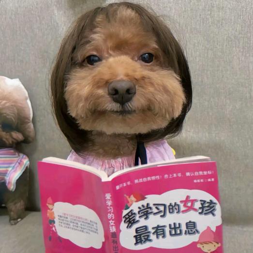 心诚则零卡路里