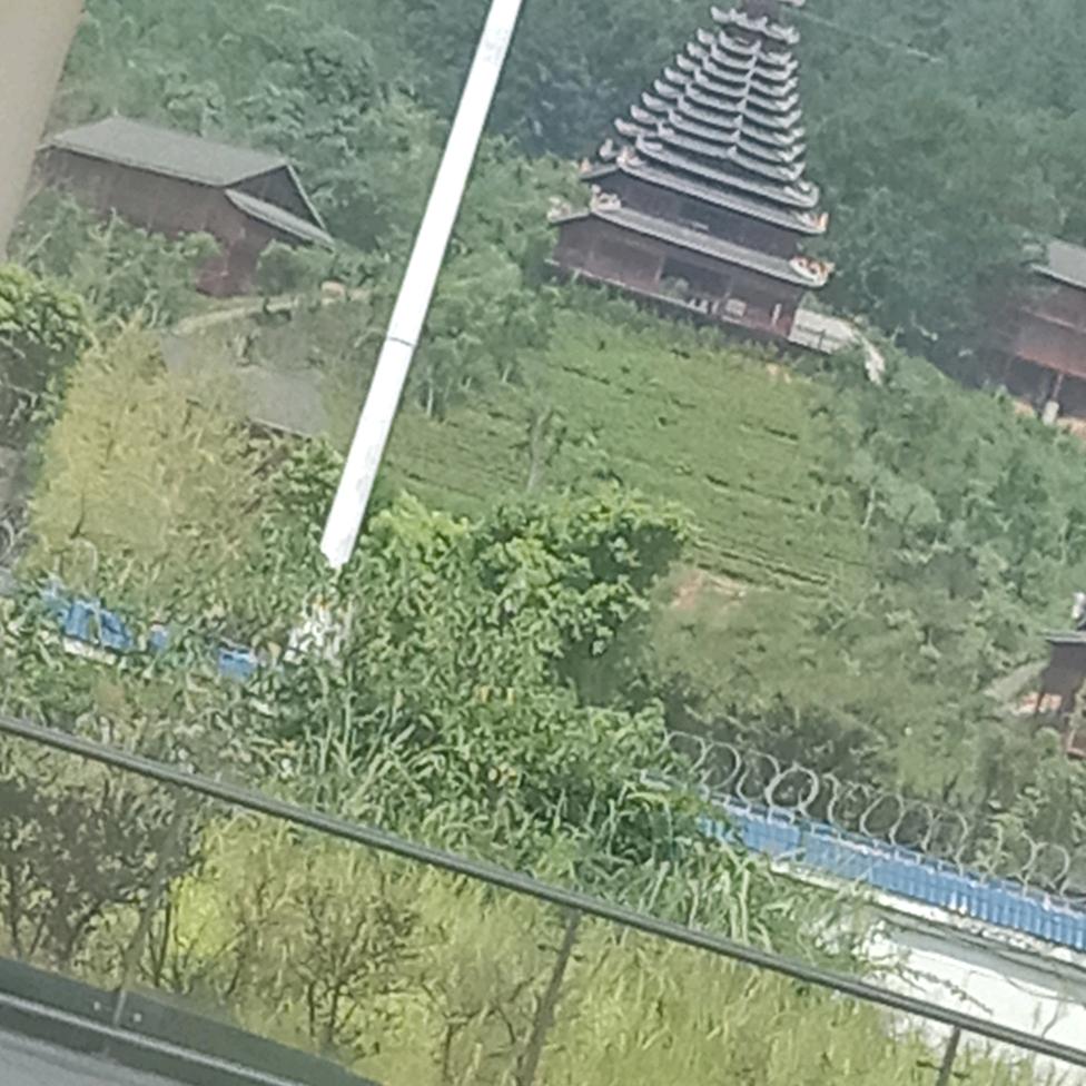 平哥
