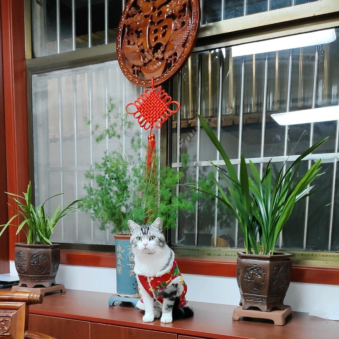 范范爱生活