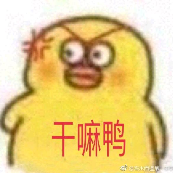 干嘛鸭