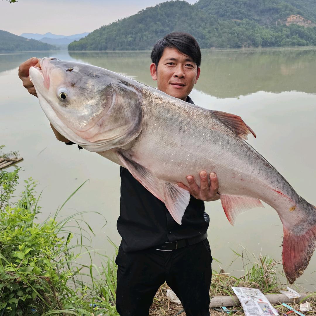 醉入钓河（林哥）