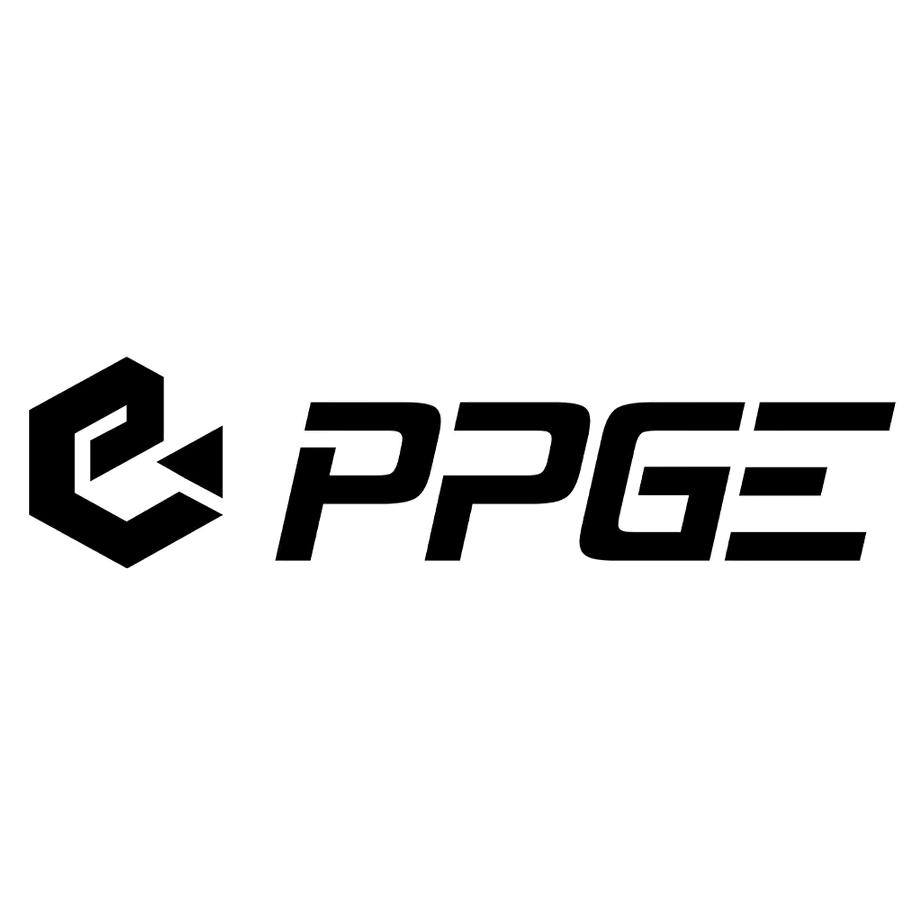 ppge杭州视飞网络科技有限公司服饰配件专卖店