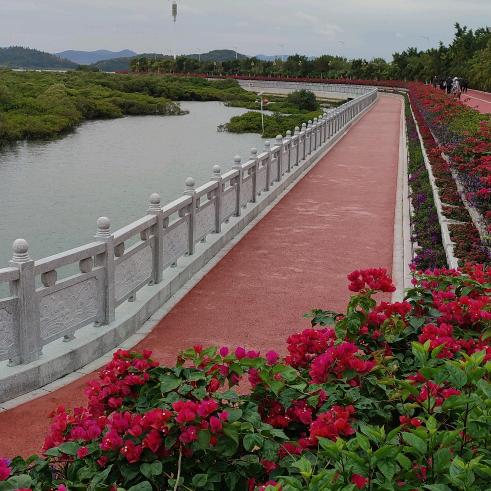 陌上花开