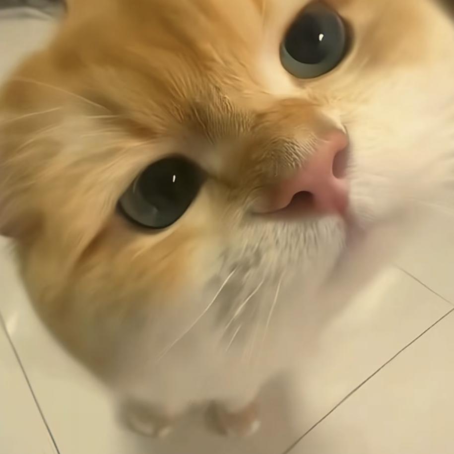 莫弈