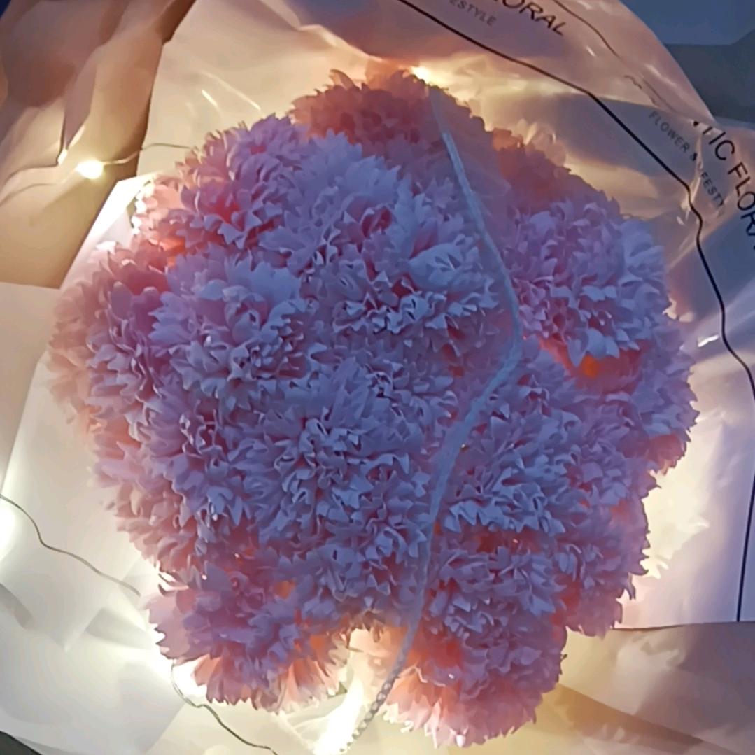 惜何