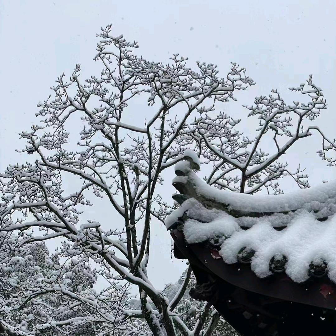 孪大哥在成都