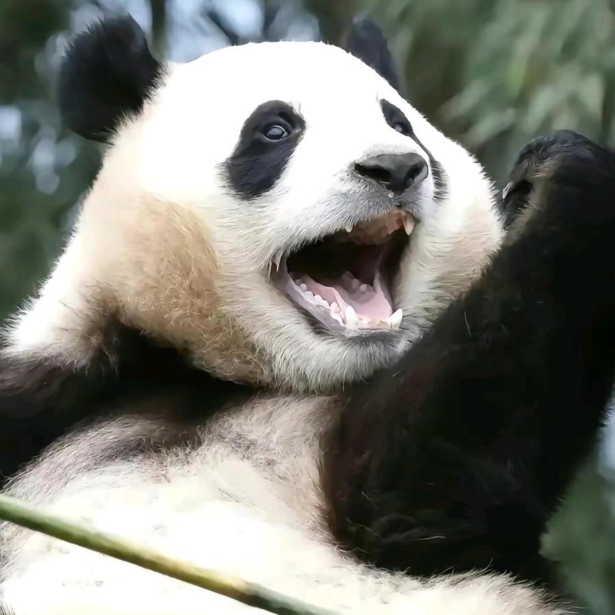 天生被现的命
