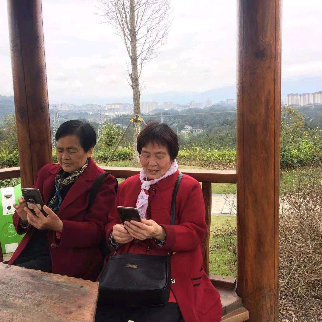 云水禅心