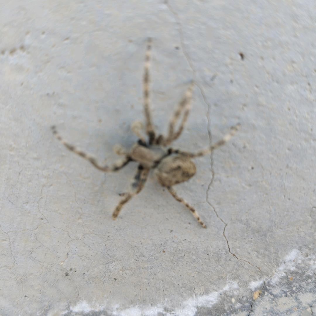 金生，有你从头在来