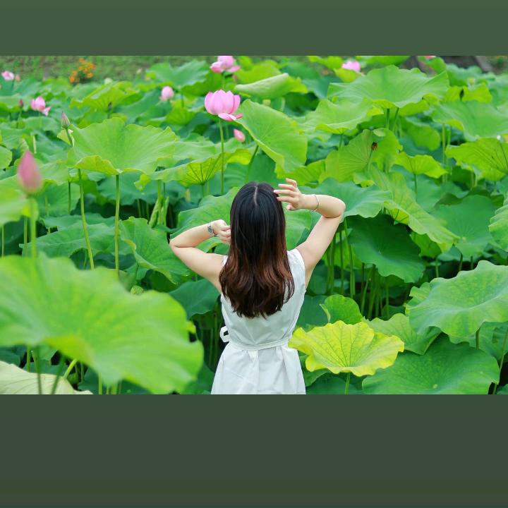 小英单身，选择大于努力