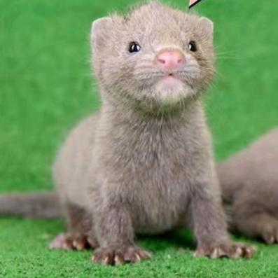 ❄️❄️❄️🫧💨