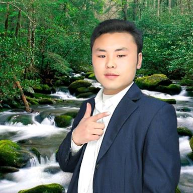 百树