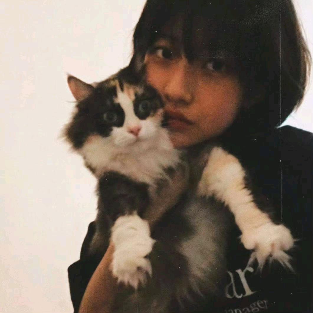 红烧鱼