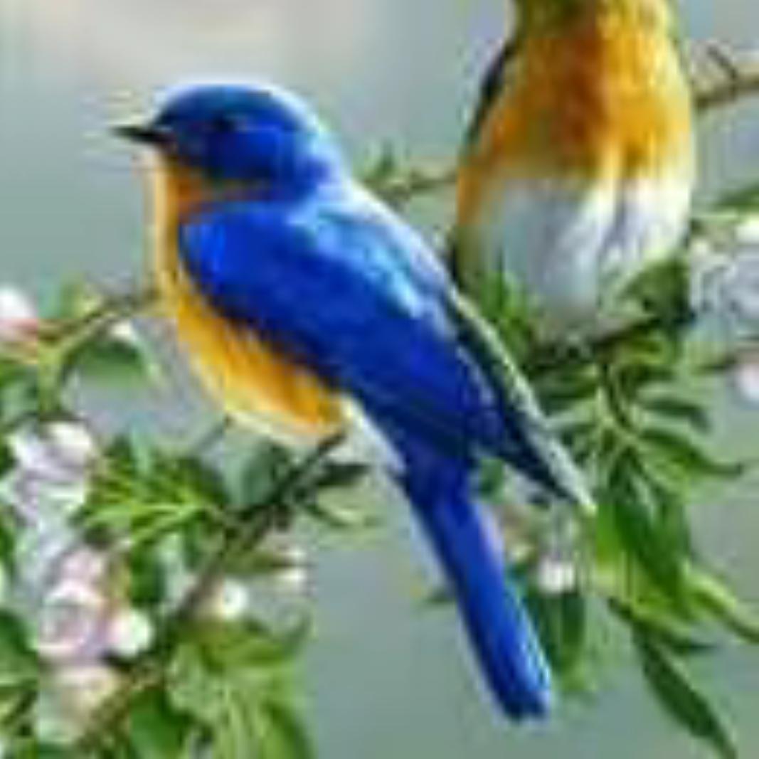 陈一辈子的苦命