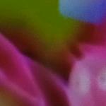 用户81573010