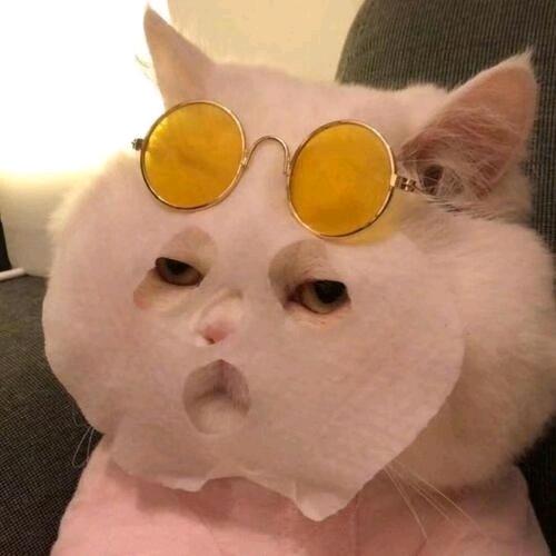 好多🐟~