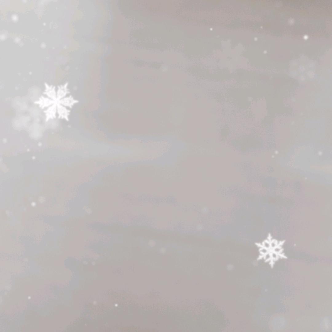 饭宝是只雪纳瑞