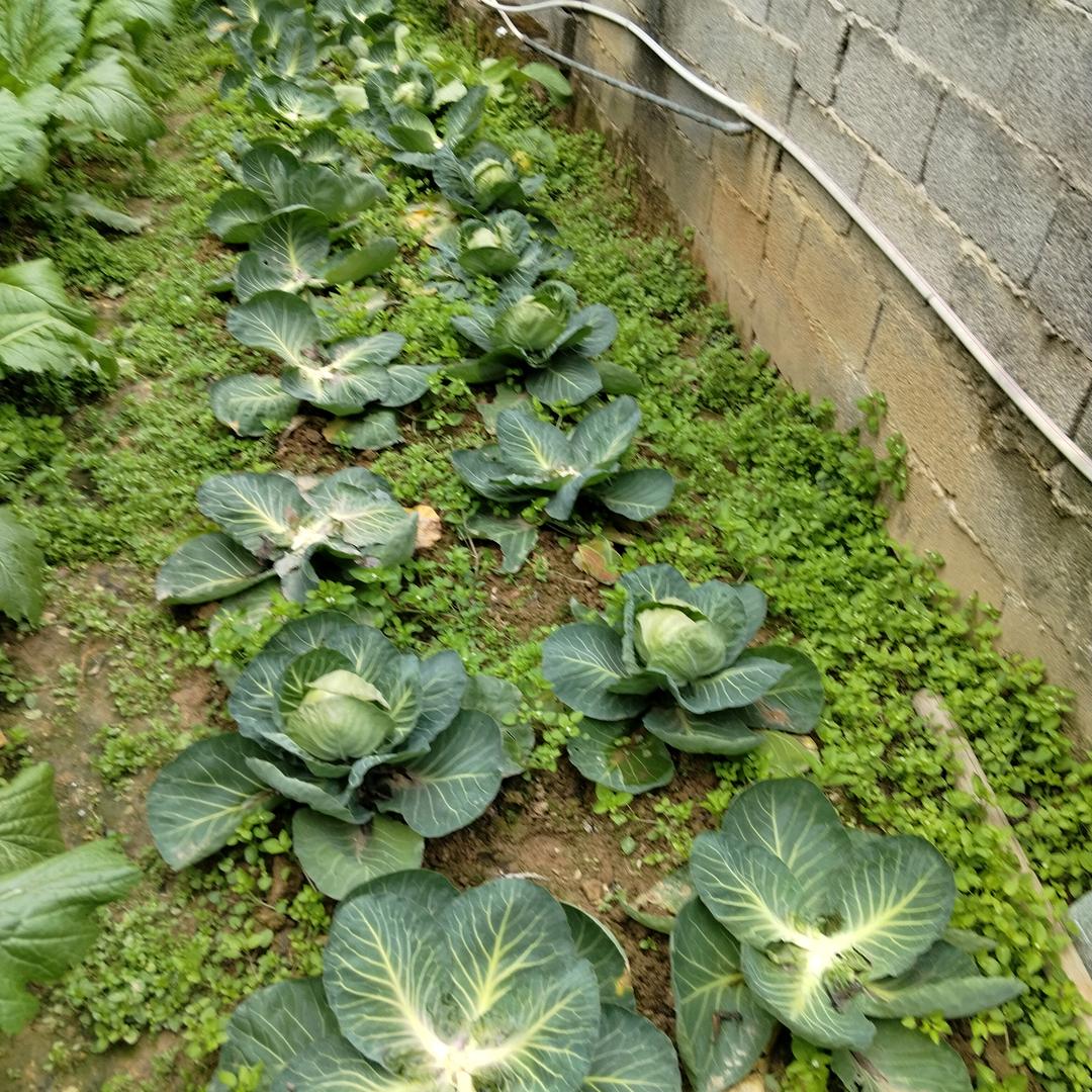 给生活一点开心