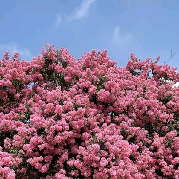 @迷茫