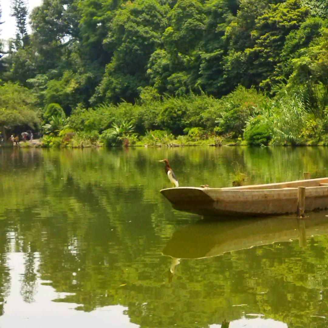 看山看水看世界