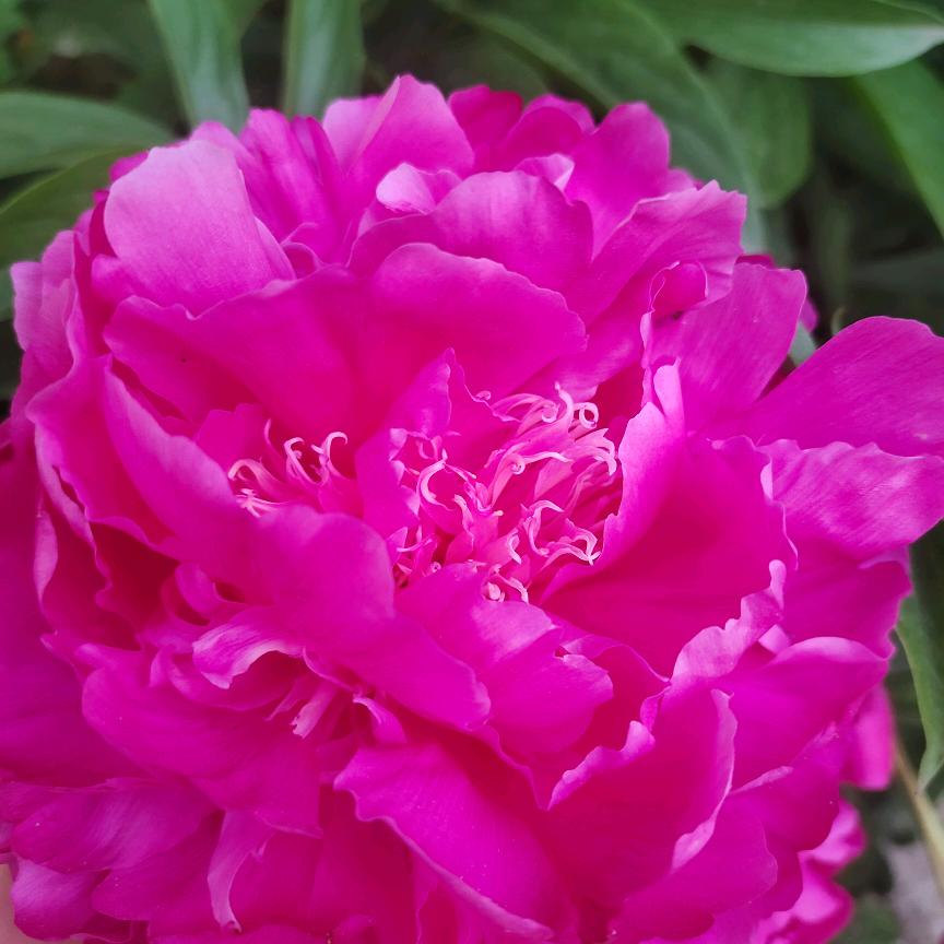 我的世界你来过