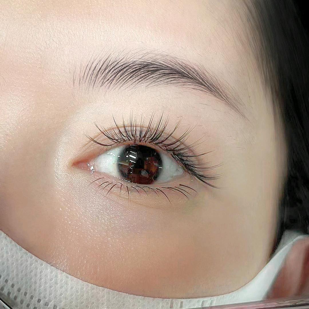 沪上美睫研习社