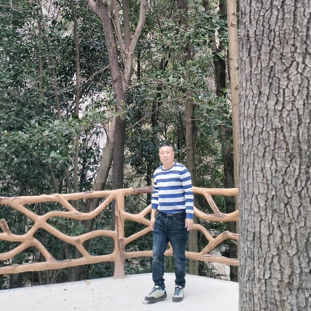 思圆何辉ꦿ᭄💞随风ℳ🥀